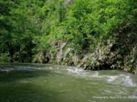 Veliki Rzav
