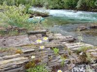 Lim, Limska regata 31.05-02.06.2024