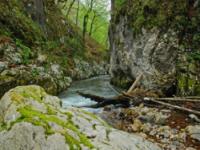 CANYONING, Kanjon Visoke, Veliki Rzav - 25.04.2011.