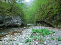 CANYONING, Kanjon Visoke, Veliki Rzav - 25.04.2011.