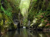 CANYONING, Kanjon Visoke, Veliki Rzav - 25.04.2011.