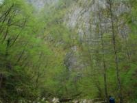 CANYONING, Kanjon Visoke, Veliki Rzav - 25.04.2011.