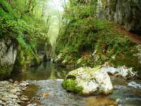 CANYONING, Kanjon Visoke, Veliki Rzav - 25.04.2011.