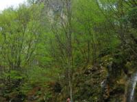 CANYONING, Kanjon Visoke, Veliki Rzav - 25.04.2011.