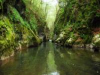 CANYONING, Kanjon Visoke, Veliki Rzav - 25.04.2011.