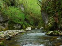 CANYONING, Kanjon Visoke, Veliki Rzav - 25.04.2011.