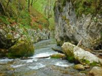 CANYONING, Kanjon Visoke, Veliki Rzav - 25.04.2011.