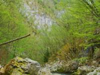 CANYONING, Kanjon Visoke, Veliki Rzav - 25.04.2011.