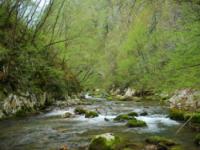 CANYONING, Kanjon Visoke, Veliki Rzav - 25.04.2011.