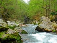 CANYONING, Kanjon Visoke, Veliki Rzav - 25.04.2011.