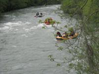 Dan na Tari - Mojkovac 02.05.2013.