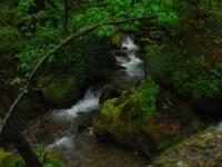 Kanjon Panjice, Vodena Pecina, Rafting Moravica - Canyoning/Caving/Rafting   01.05.2011.