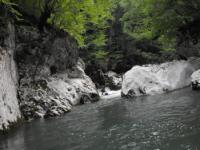 Rzav, Visočka banja-Radoševski kanjon-Kruščica (Gureši), 04.07.2020