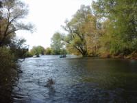 Rafting za decu - Ibar (Mataruška Banja-Kraljevo) 21.10.2017.